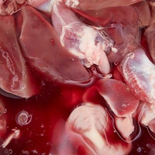 Photo Textures of RAW Pork Viscera