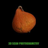 RAW Pumpkin 3D Scan #4